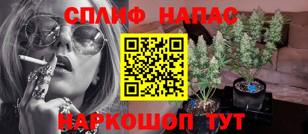 Конопля SATIVA & INDICA  Вход с VPN  Канабис MAZAR  Асино  Бошки марихуана план 